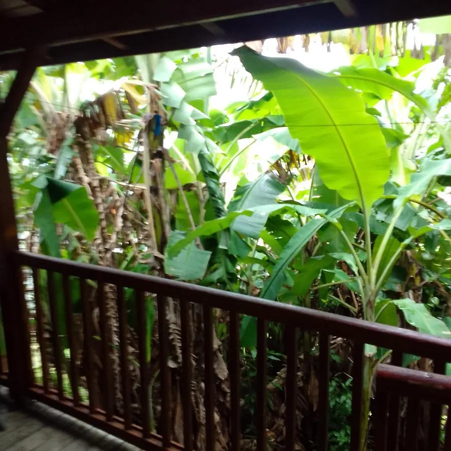 Kaza Charly F2 Apartment Les Abymes 0*,  Guadeloupe